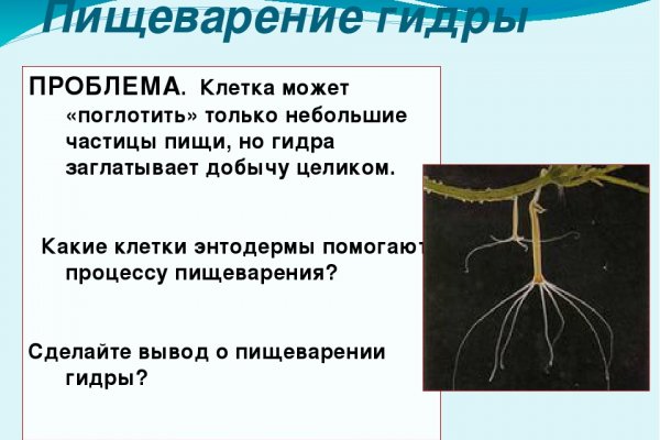 Даркнет кракен отзывы о платформе