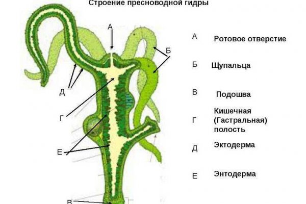 Актуальные ссылки кракен на 2025