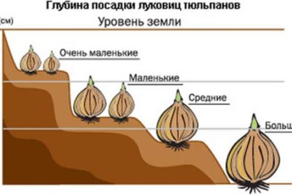 Кракен ссылка market pw