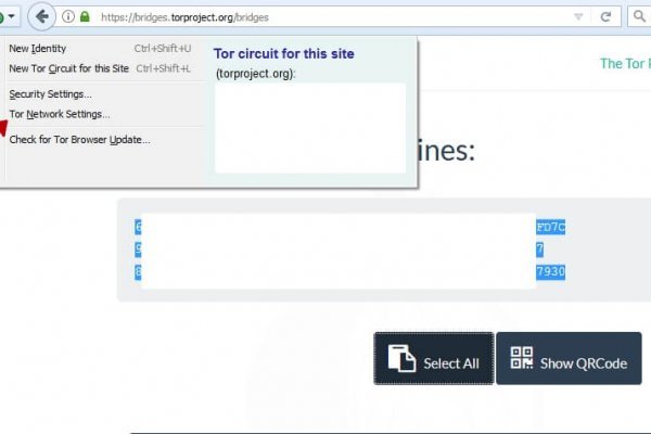 Kraken зеркала kr2web in