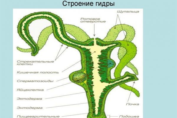 Кракен ссылка kra