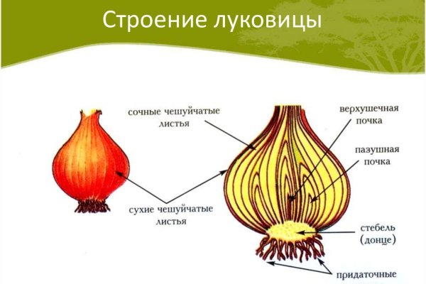 Кракен сайт в тор браузере